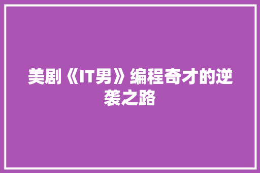 美剧《IT男》编程奇才的逆袭之路 百度SEO