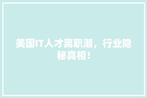 美国IT人才离职潮，行业隐秘真相！