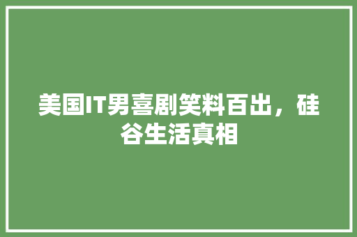 美国IT男喜剧笑料百出，硅谷生活真相 百度SEO