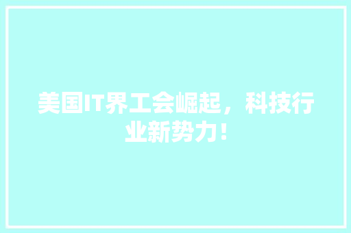 美国IT界工会崛起，科技行业新势力！