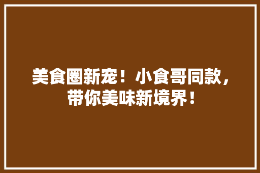 美食圈新宠！小食哥同款，带你美味新境界！