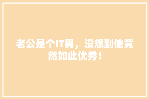 老公是个IT男，没想到他竟然如此优秀！