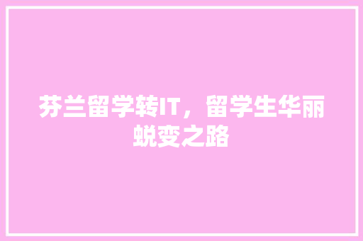 芬兰留学转IT，留学生华丽蜕变之路