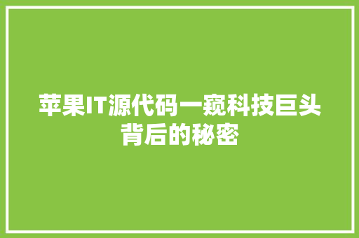 苹果IT源代码一窥科技巨头背后的秘密