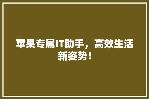 苹果专属IT助手，高效生活新姿势！