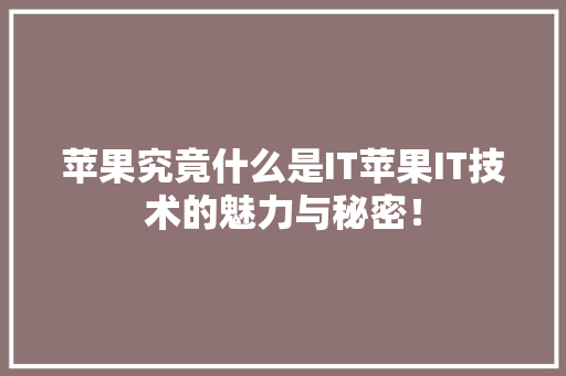 苹果究竟什么是IT苹果IT技术的魅力与秘密！