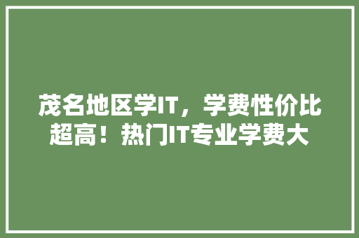 茂名地区学IT，学费性价比超高！热门IT专业学费大