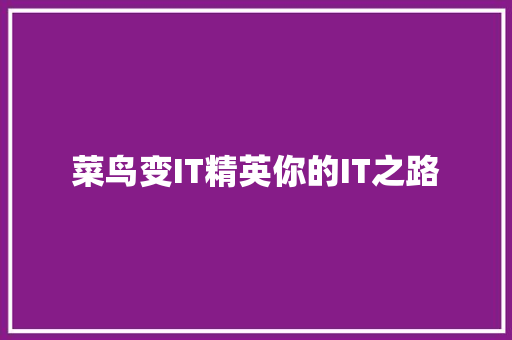 菜鸟变IT精英你的IT之路