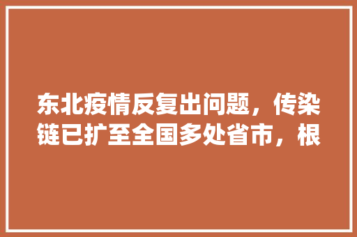 东北疫情反复出问题，传染链已扩至全国多处省市，根本原因何在「为什么有点网站打不开iphone」