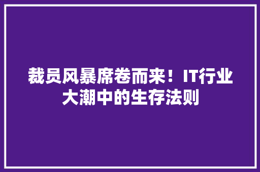 裁员风暴席卷而来！IT行业大潮中的生存法则