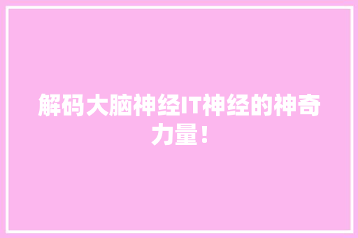 解码大脑神经IT神经的神奇力量！