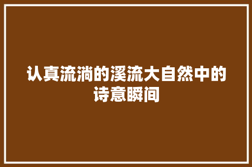 认真流淌的溪流大自然中的诗意瞬间