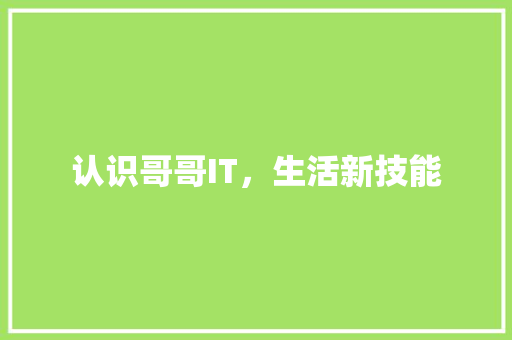 认识哥哥IT，生活新技能