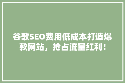谷歌SEO费用低成本打造爆款网站，抢占流量红利！