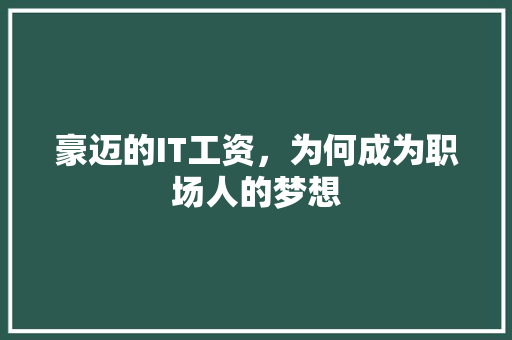 豪迈的IT工资，为何成为职场人的梦想