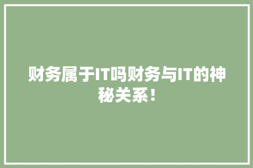 财务属于IT吗财务与IT的神秘关系！