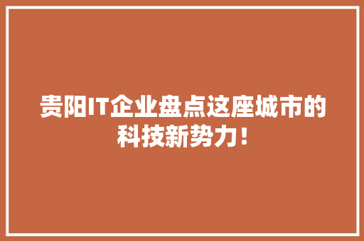 贵阳IT企业盘点这座城市的科技新势力！