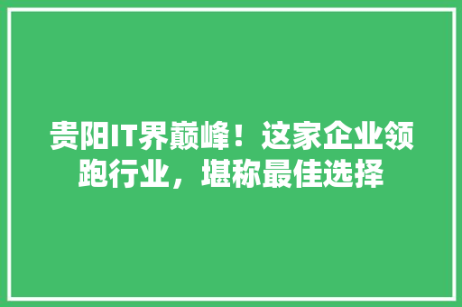 贵阳IT界巅峰！这家企业领跑行业，堪称最佳选择 神马SEO