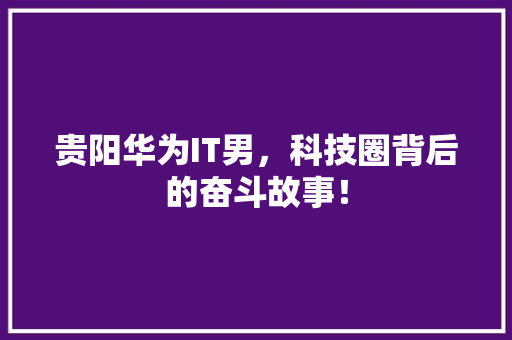 贵阳华为IT男，科技圈背后的奋斗故事！