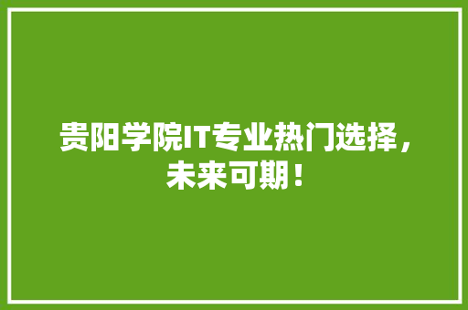 贵阳学院IT专业热门选择，未来可期！
