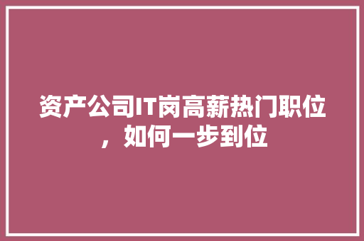 资产公司IT岗高薪热门职位，如何一步到位