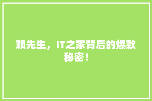 赖先生，IT之家背后的爆款秘密！