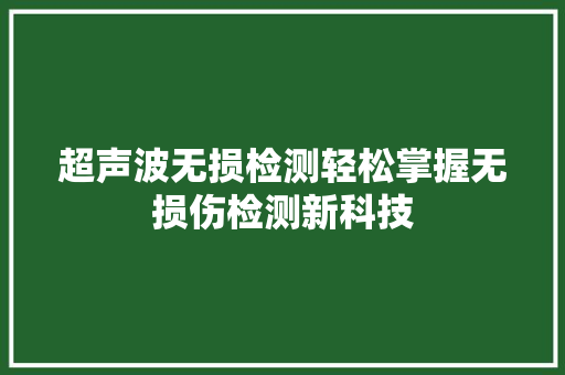 超声波无损检测轻松掌握无损伤检测新科技