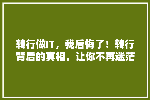 转行做IT，我后悔了！转行背后的真相，让你不再迷茫