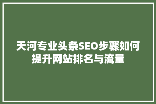 天河专业头条SEO步骤如何提升网站排名与流量