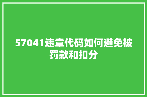 57041违章代码如何避免被罚款和扣分 必应SEO