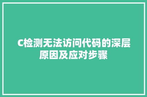 C检测无法访问代码的深层原因及应对步骤 神马SEO