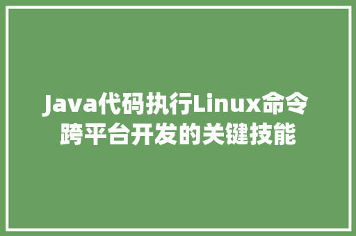 Java代码执行Linux命令跨平台开发的关键技能 搜狗SEO