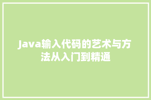 Java输入代码的艺术与方法从入门到精通 GoogleSEO