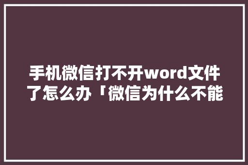 手机微信打不开word文件了怎么办「微信为什么不能用零钱支付了」 手机微信打不开word文件了怎么办「微信为什么不能用零钱支付了」 搜狗SEO