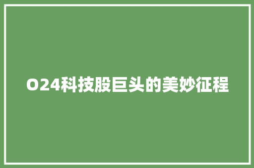 O24科技股巨头的美妙征程 GoogleSEO
