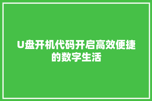 U盘开机代码开启高效便捷的数字生活 GoogleSEO