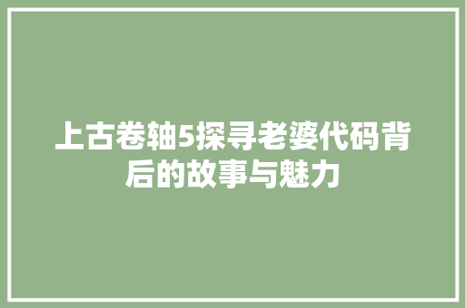 上古卷轴5探寻老婆代码背后的故事与魅力 必应SEO