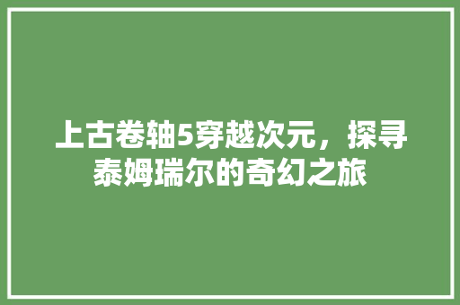 上古卷轴5穿越次元，探寻泰姆瑞尔的奇幻之旅 GoogleSEO