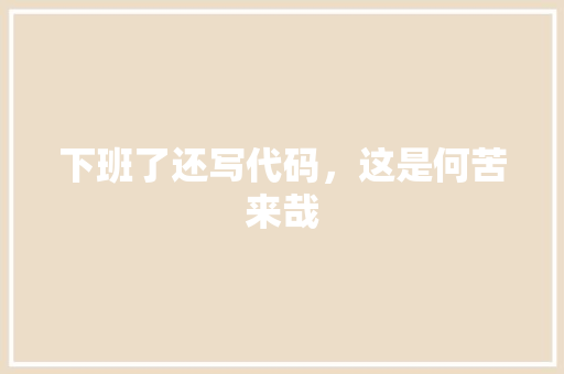 下班了还写代码，这是何苦来哉 必应SEO