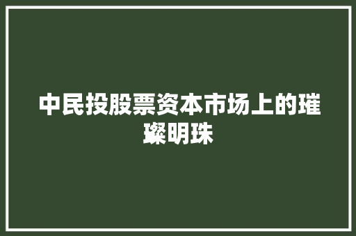 中民投股票资本市场上的璀璨明珠