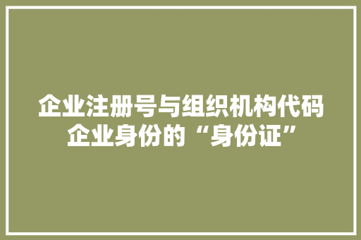 企业注册号与组织机构代码企业身份的“身份证”