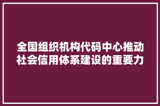 全国组织机构代码中心推动社会信用体系建设的重要力量
