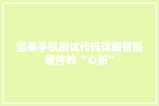 坚果手机测试代码详细智能硬件的“心脏”