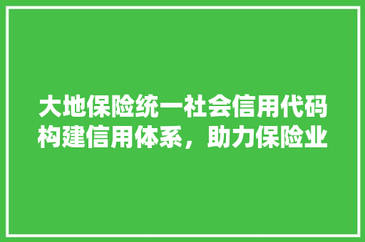 大地保险统一社会信用代码构建信用体系，助力保险业健康发展