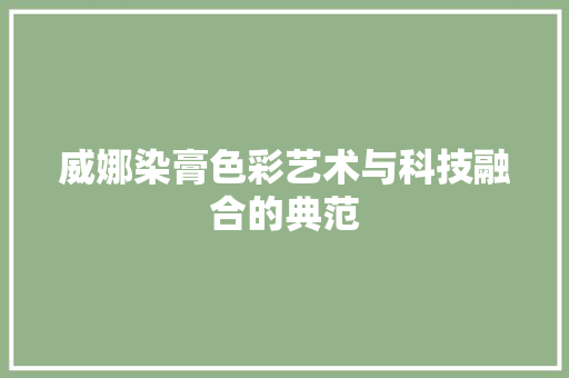威娜染膏色彩艺术与科技融合的典范 百度SEO
