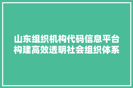 山东组织机构代码信息平台构建高效透明社会组织体系的关键