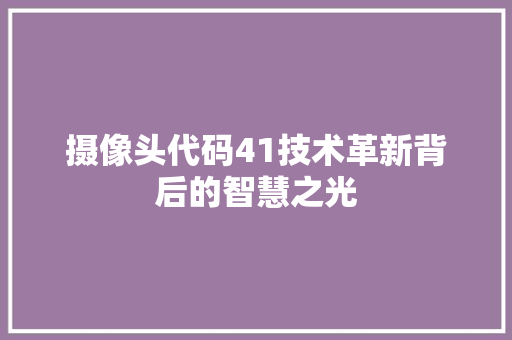 摄像头代码41技术革新背后的智慧之光