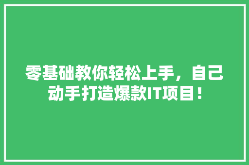 零基础教你轻松上手，自己动手打造爆款IT项目！