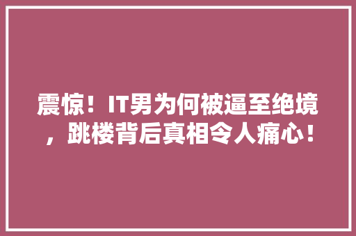 震惊！IT男为何被逼至绝境，跳楼背后真相令人痛心！