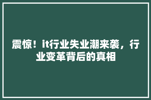 震惊！it行业失业潮来袭，行业变革背后的真相 搜狗SEO
